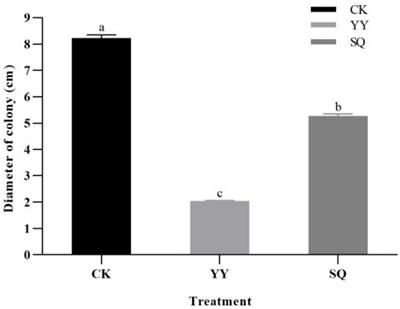 Application of Bacillus tequilensis for the control of gray mold caused by Botrytis cinerea in blueberry and mechanisms of action: inducing phenylpropanoid pathway metabolism